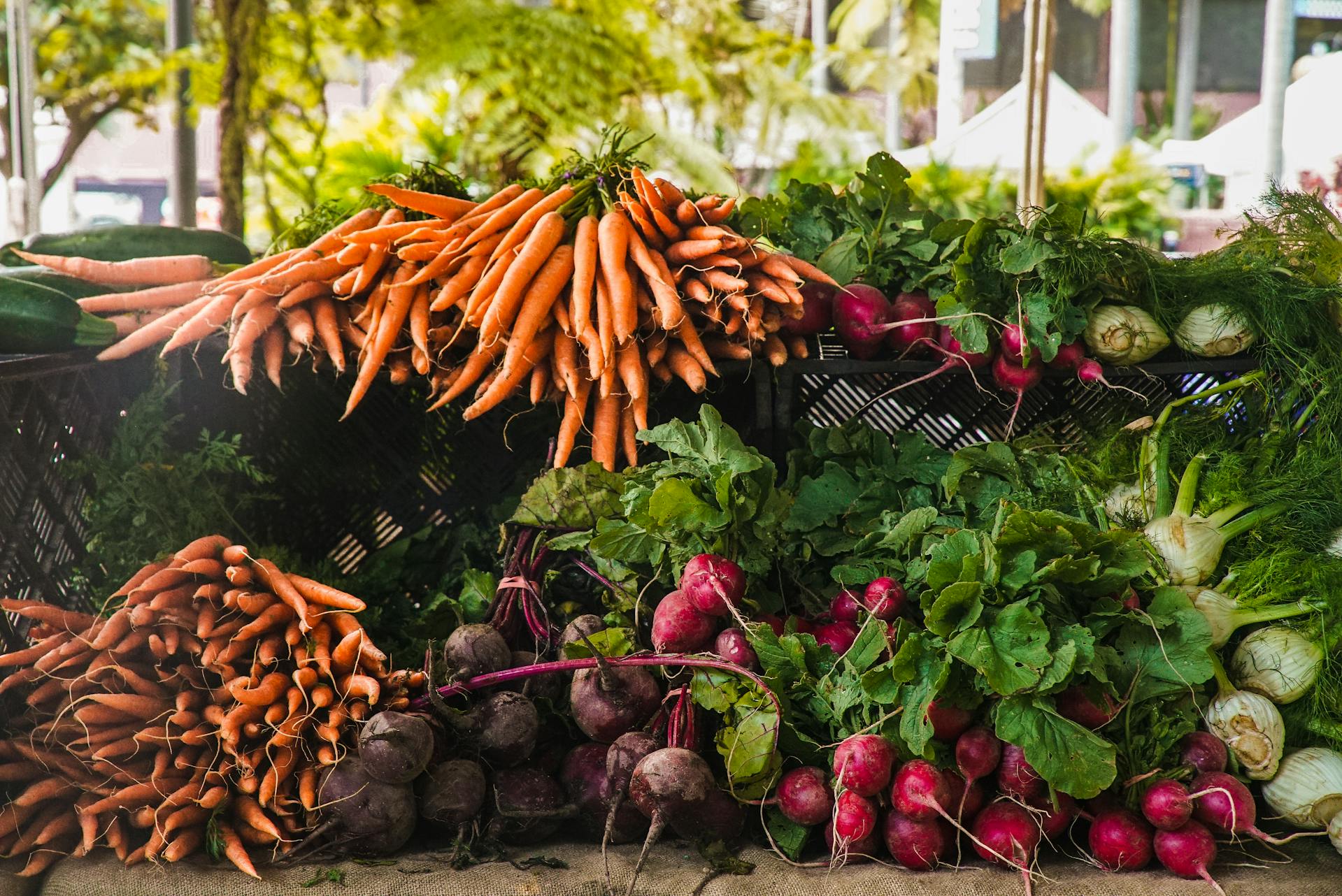 Top 10 Green Vegetables and Their Nutritional Benefits